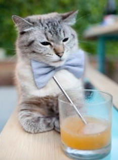 爱游戏官网-交易档案：那些影响深远的经典签约，《交易》