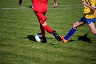 爱游戏娱乐网址-中国足球俱乐部与国际知名足球学院合作，中国足球俱乐部和国家队